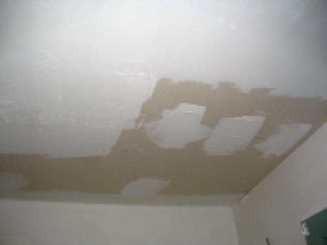 The large version of: before_picture1